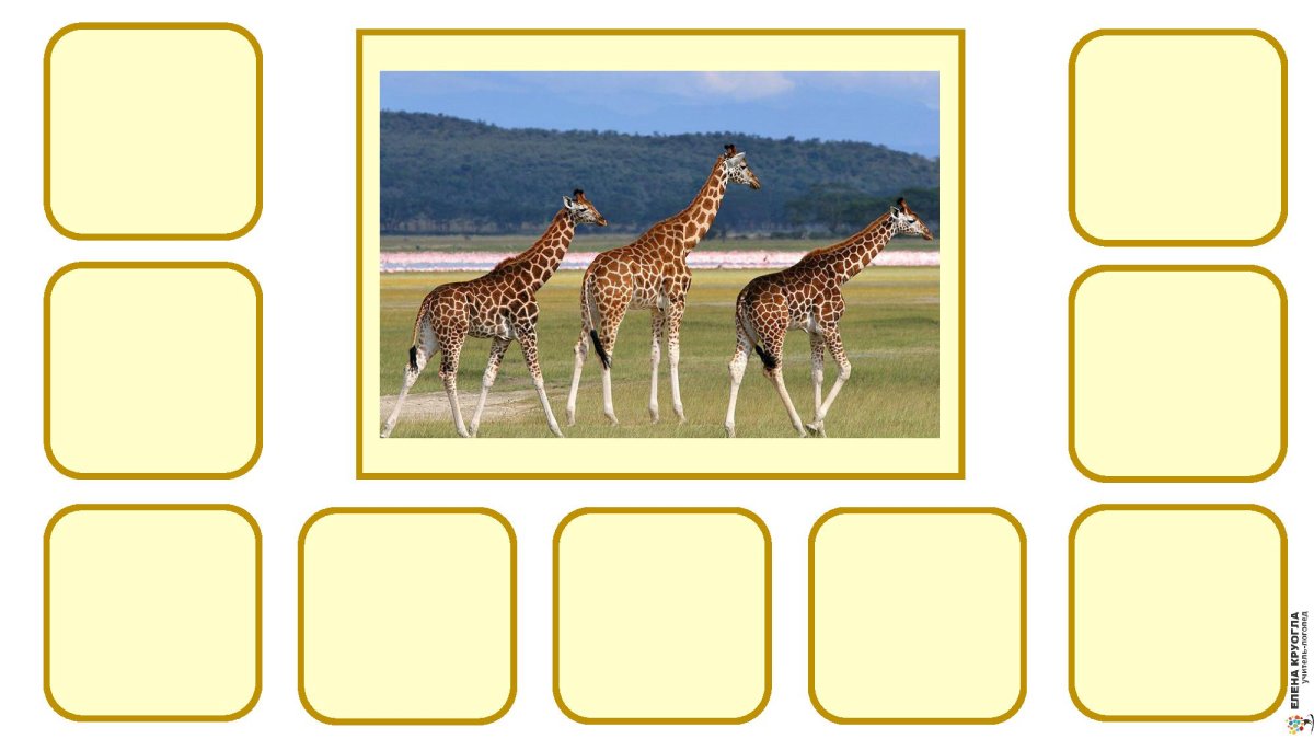 Лексическая тема животные жарких стран