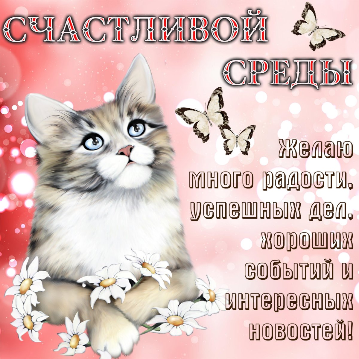 Среда день недели