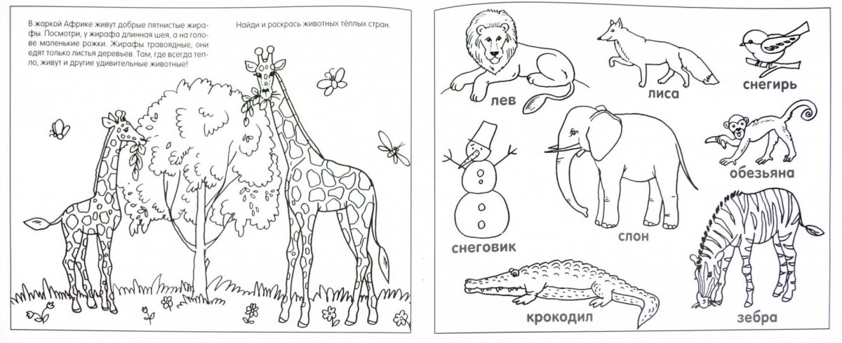 Животные жарких стран задания для дошкольников