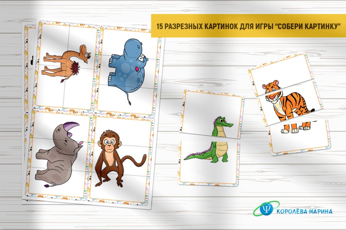 Животные зоопарка на белом фоне