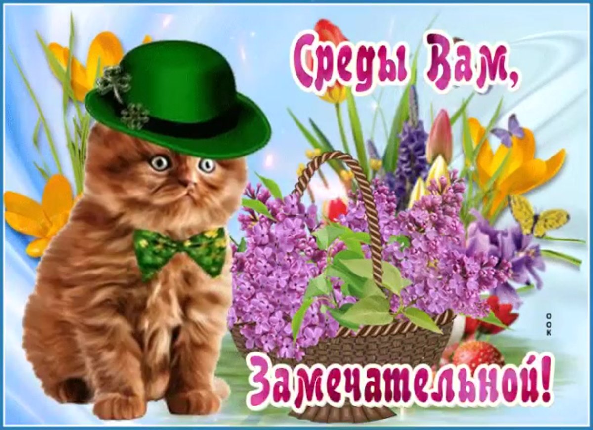 С добрым утром среды