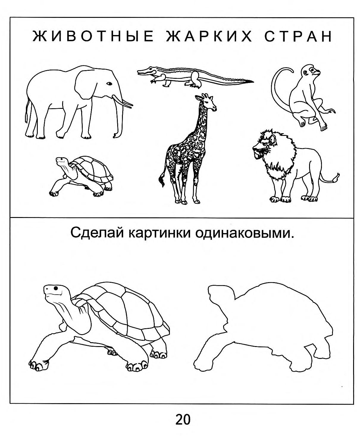 Хищные животные жарких стран