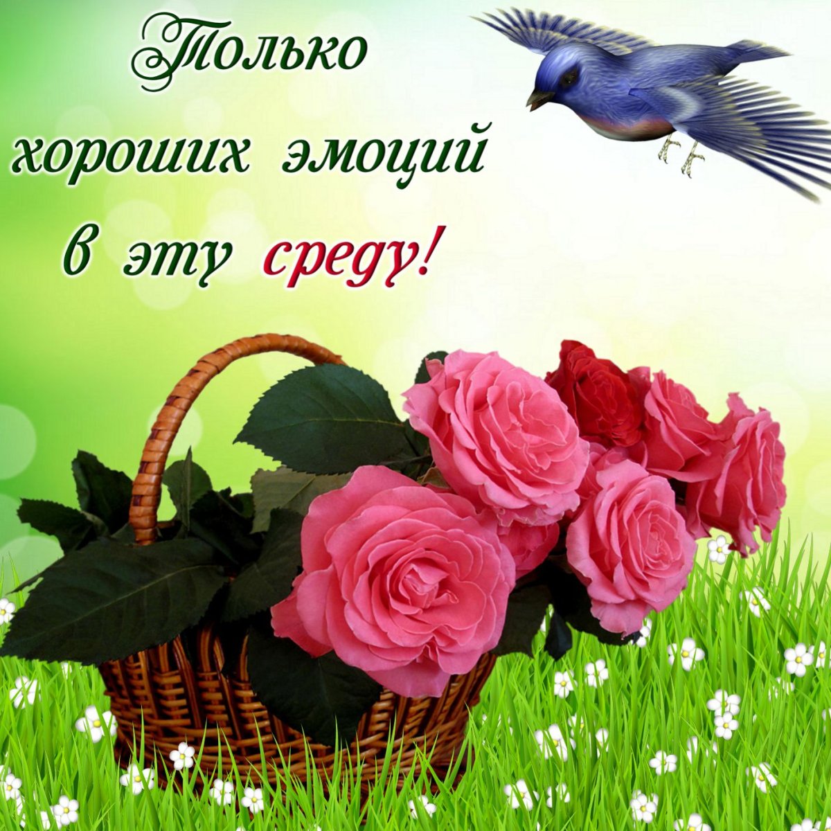 С добрым утром среды мужчине