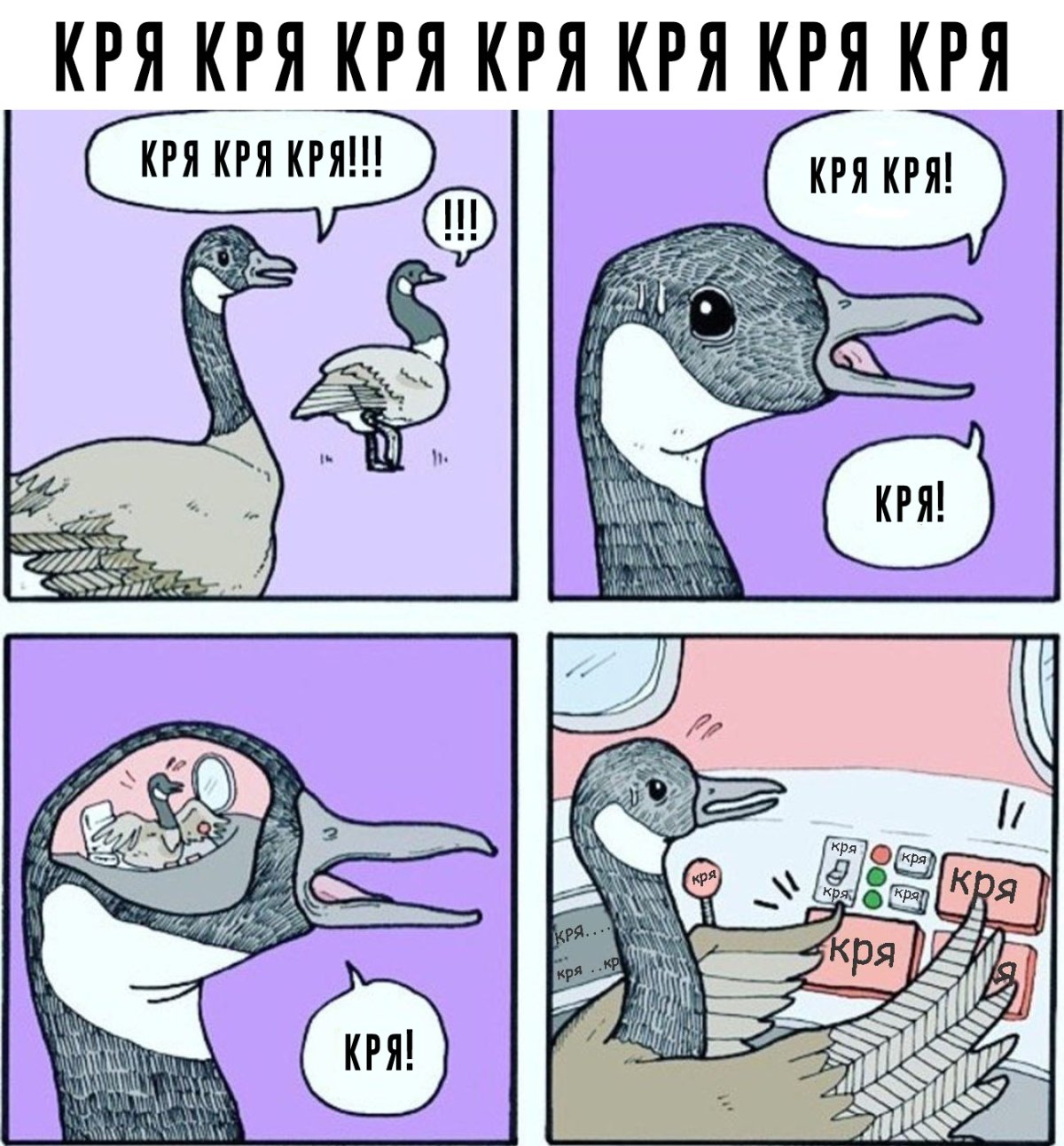 Утка Мем кря