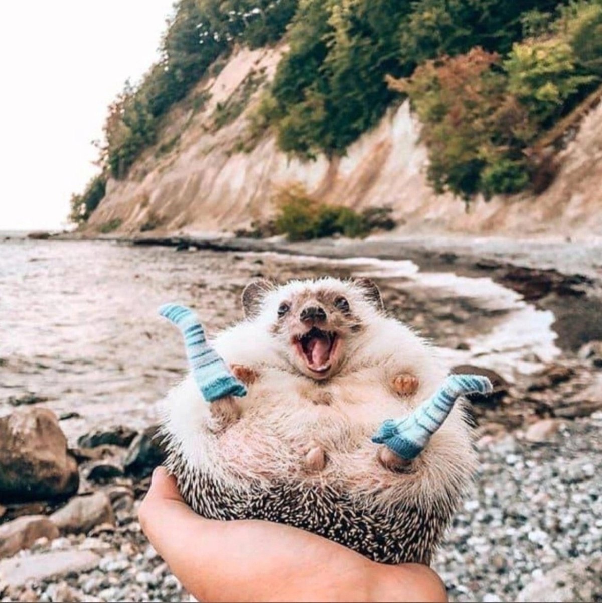 Баба с топором смешная