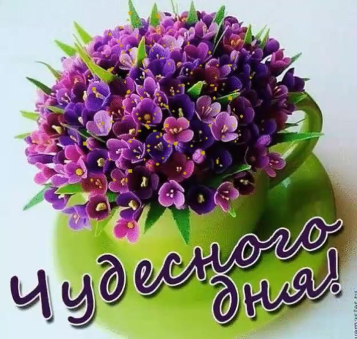 Букет цветов с добрым утром