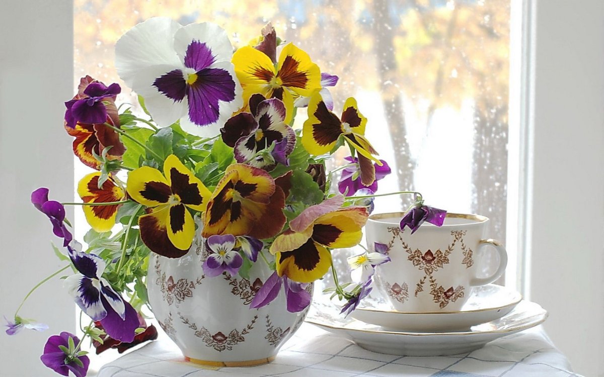 Анютины глазки в вазе