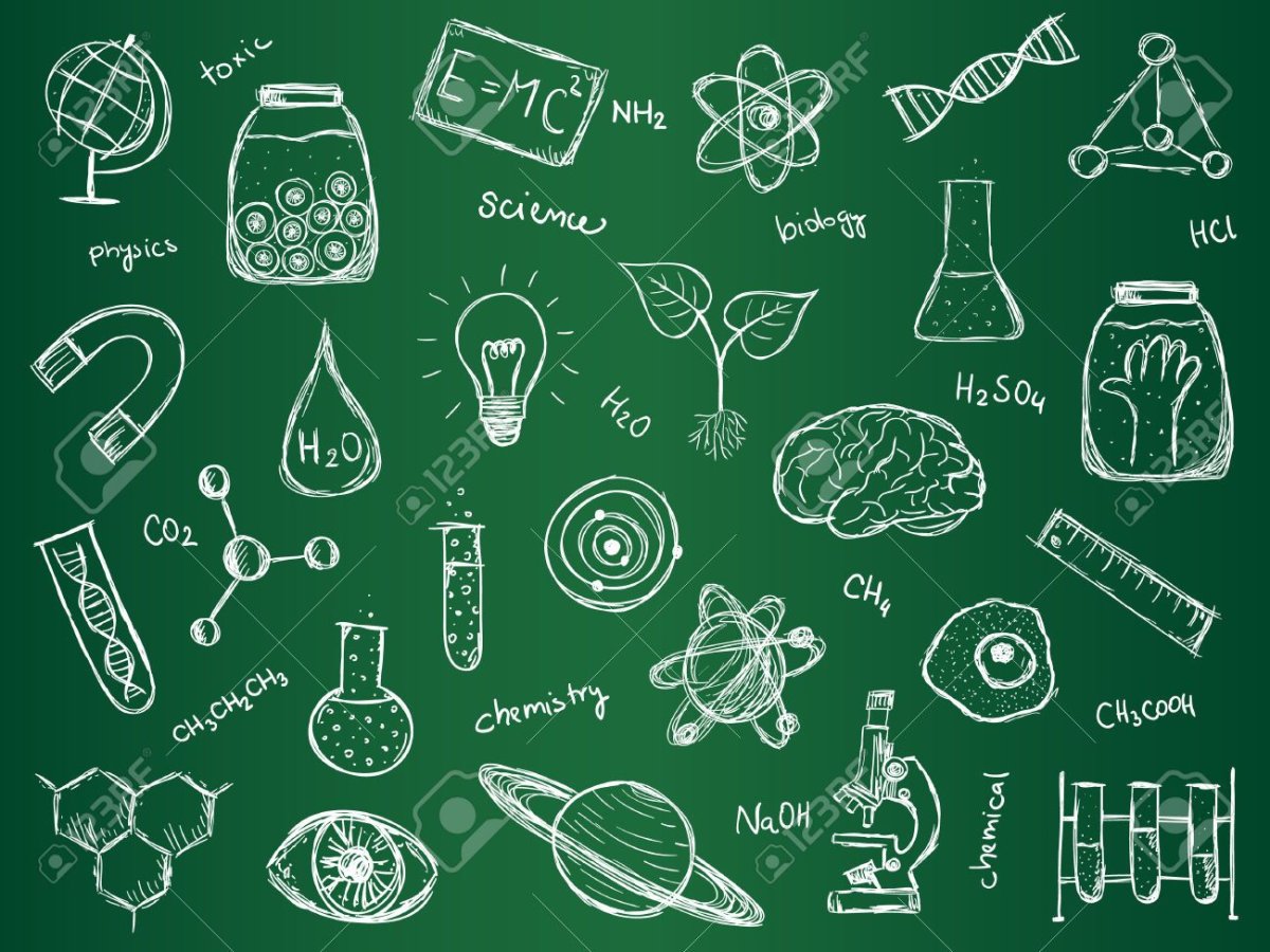 Биология, химия, физика, математика