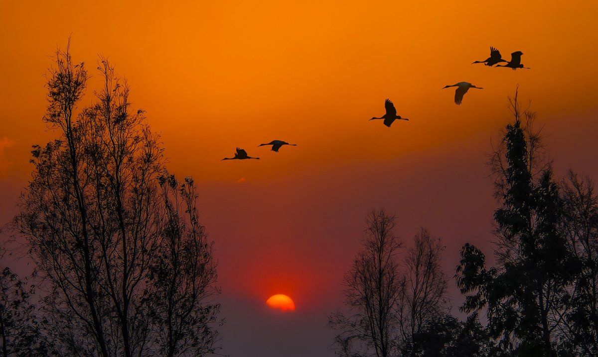 Журавлиный Клин осенью