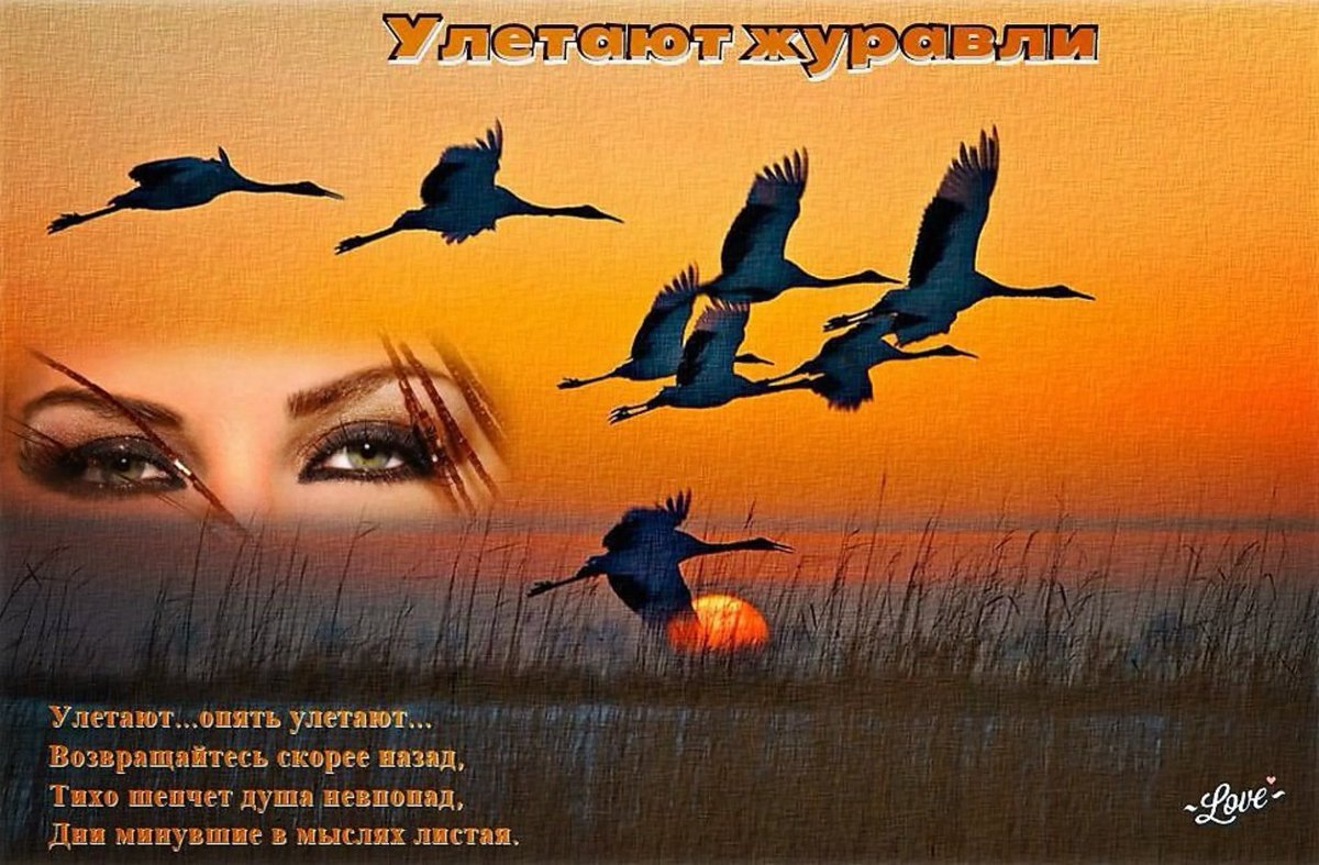 Евгений Войнов Журавли улетают