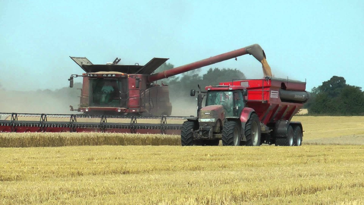 Комбайн Case IH 2022