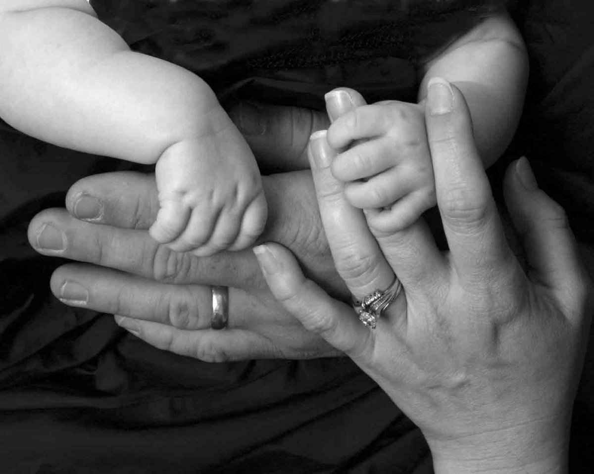 Ладони семьи