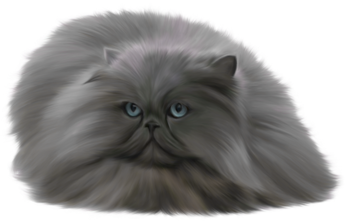 Пушистая кошка для детей
