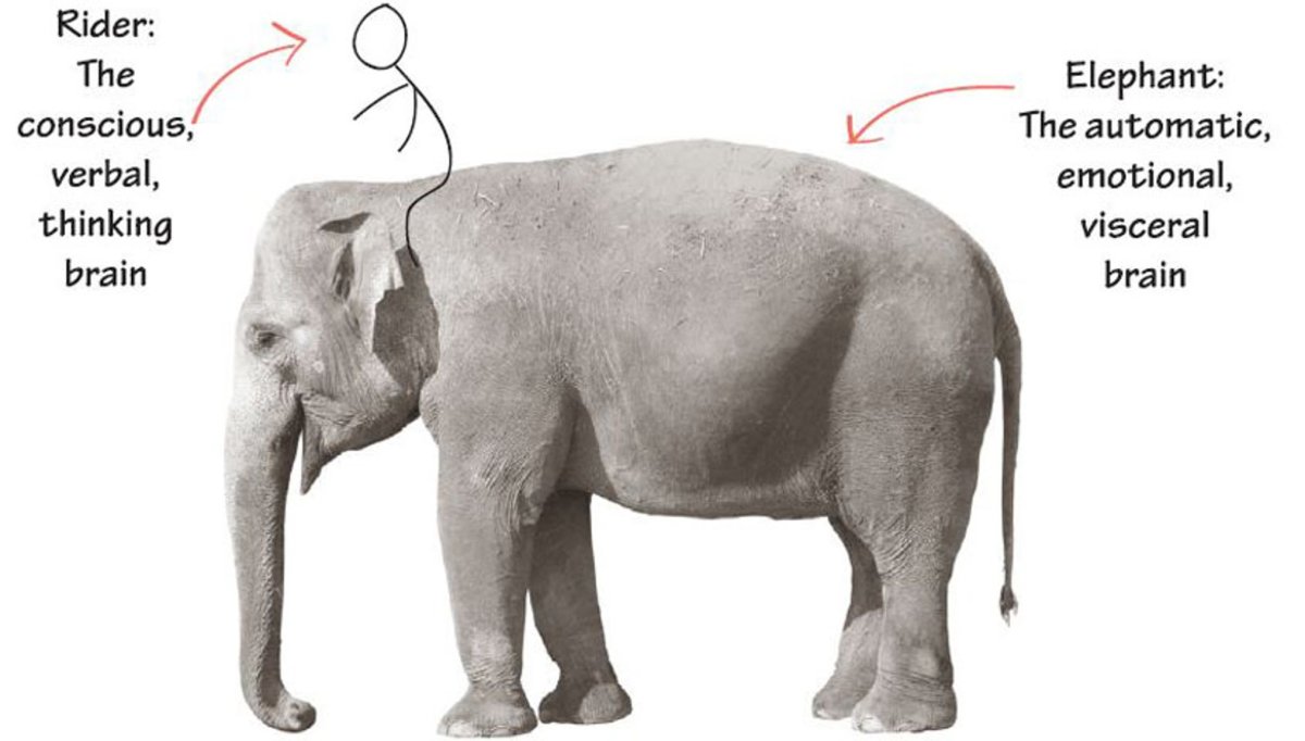 Слон идет сбоку