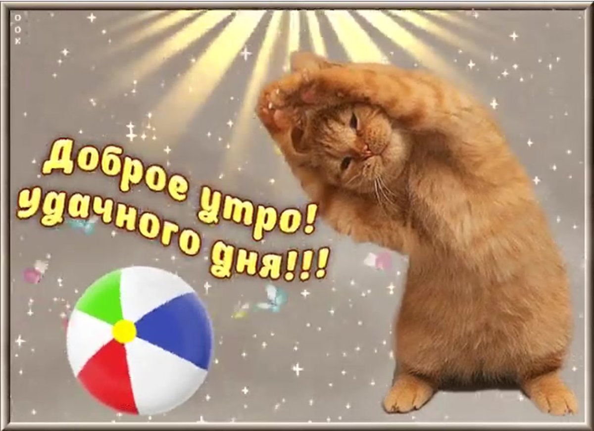 Гифки с добрым утром прикольные