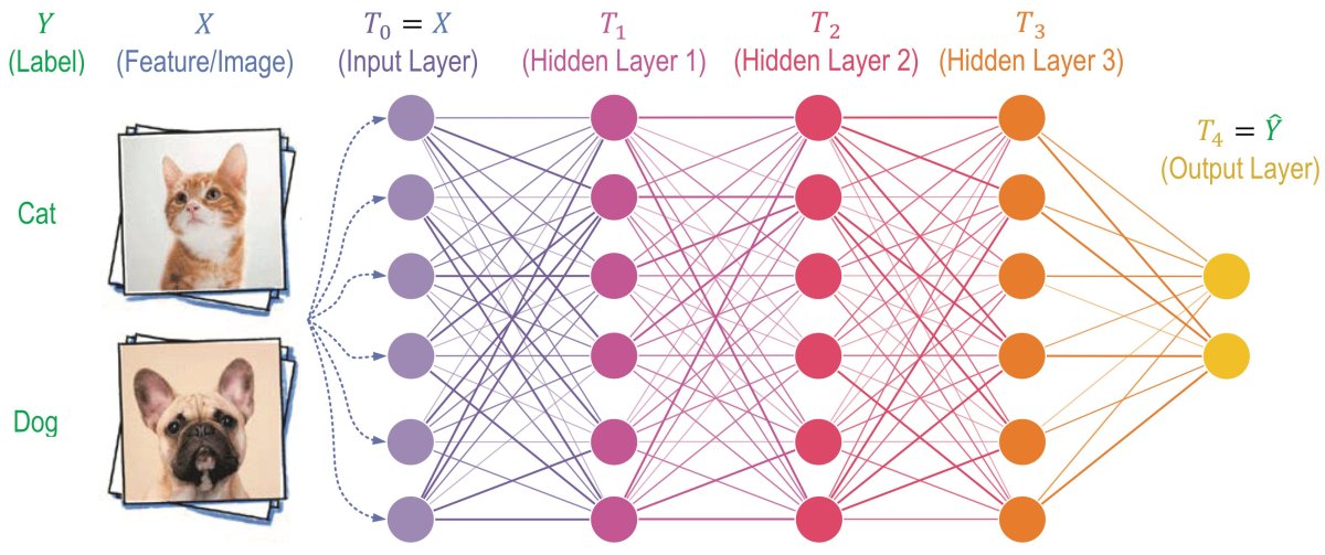 Архитектура нейронной сети