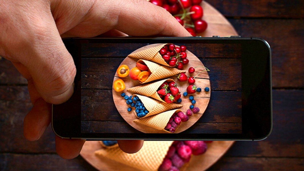 Max Planck Institute for Brain research