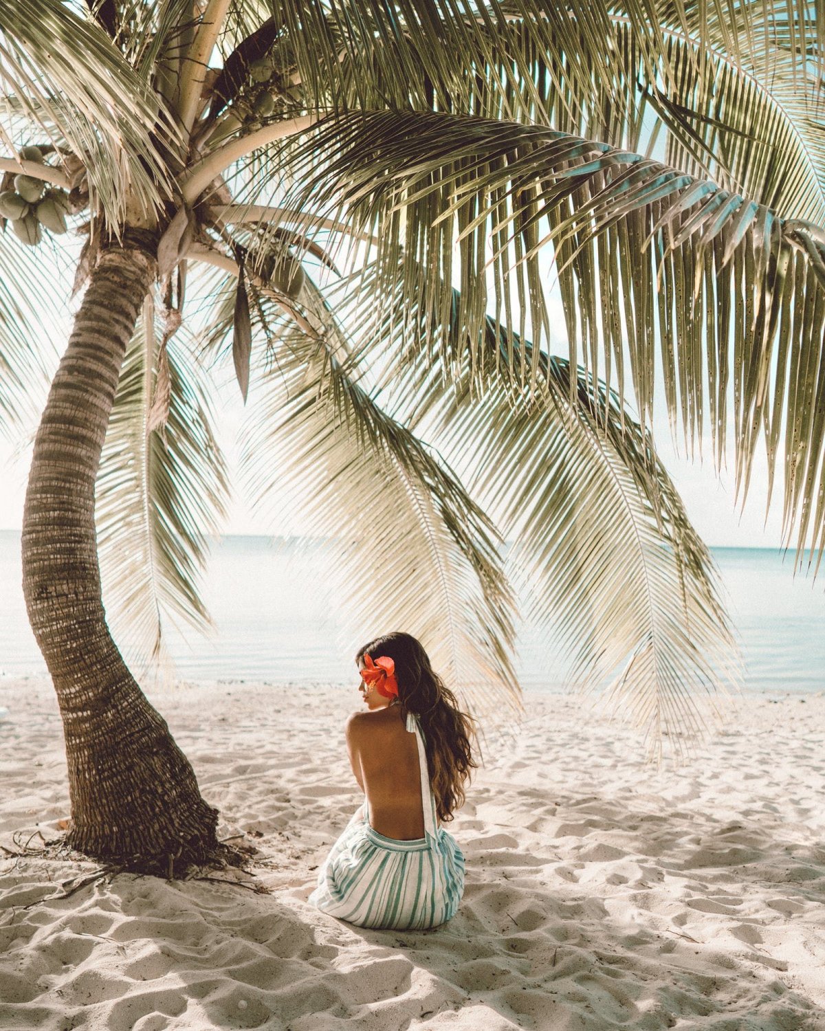 Анюта рай 2017