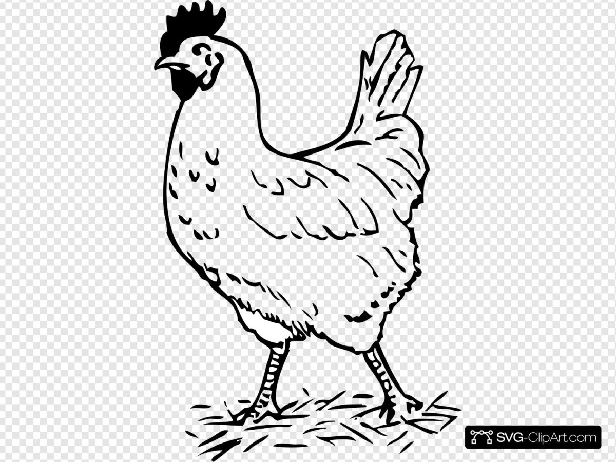 Гуси утки раскраска