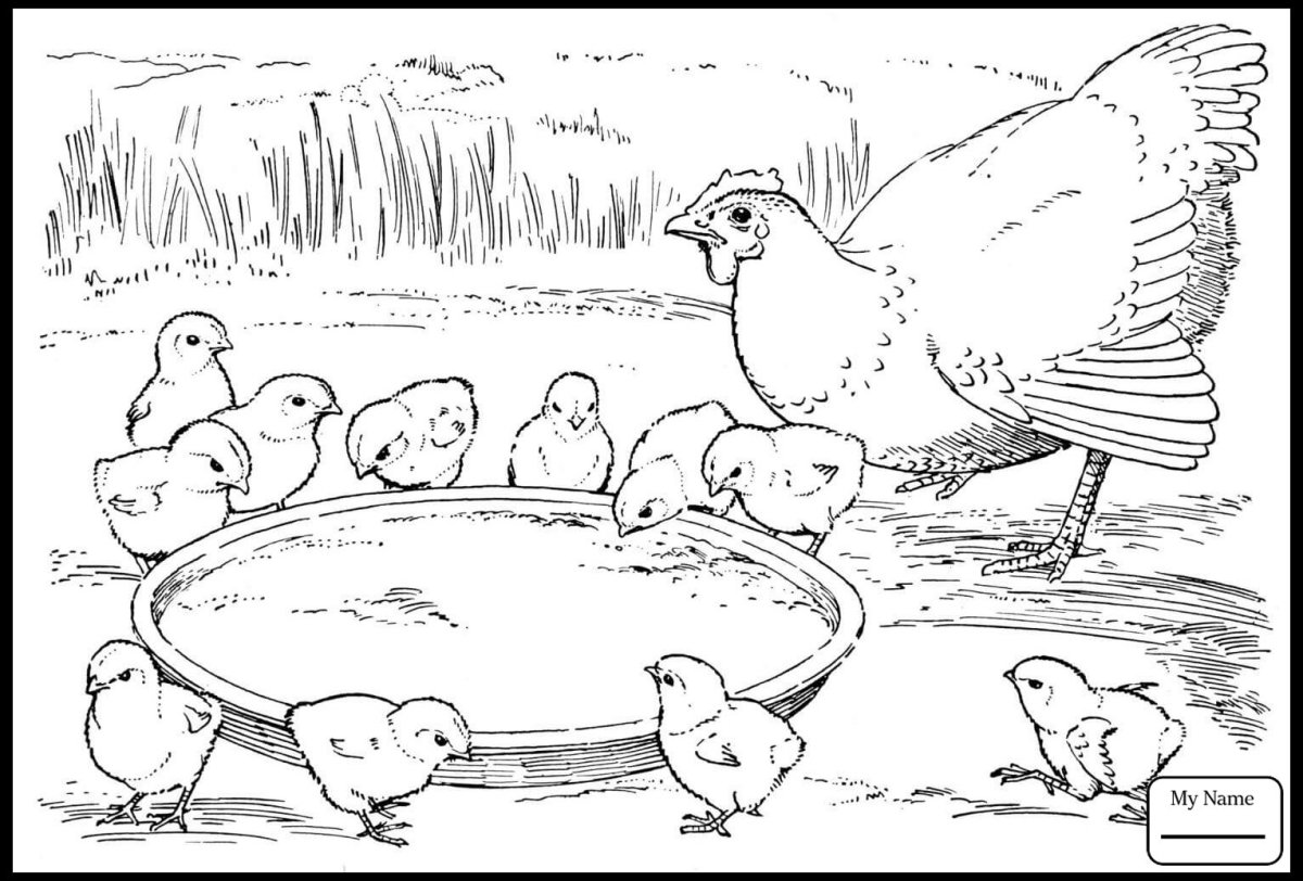 Петушок. Раскраска