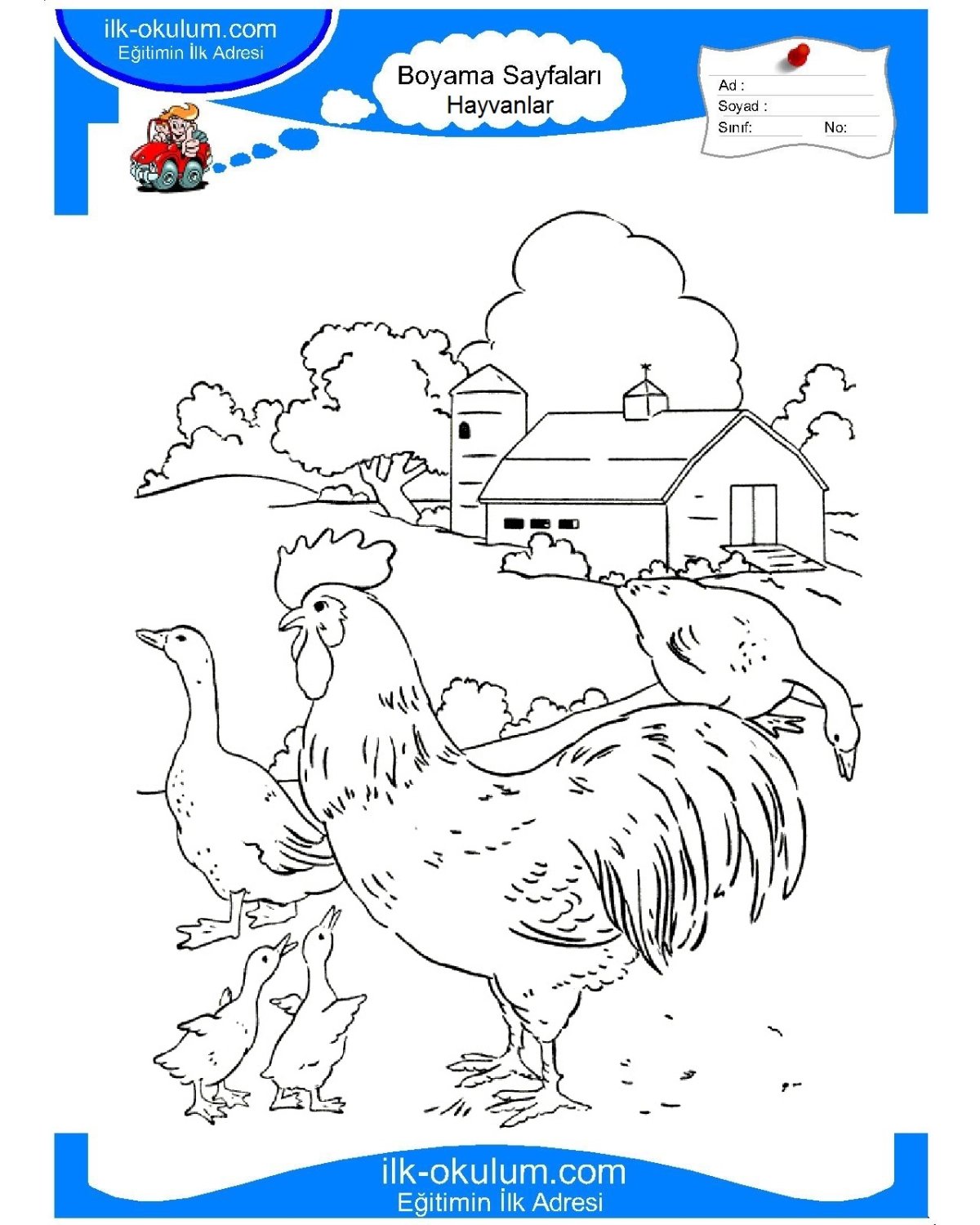 Раскраски домашние животные и птицы