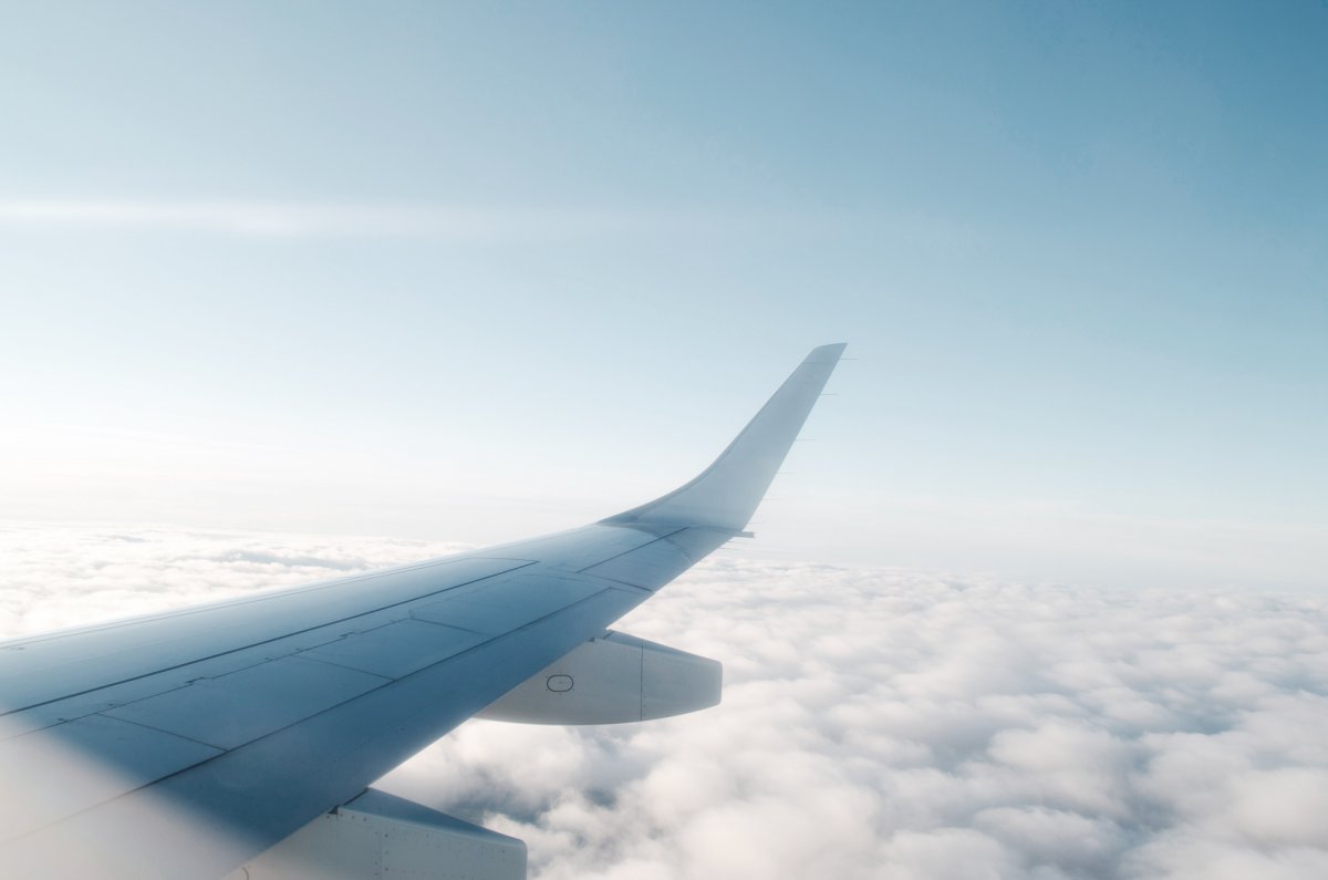 Стрекоза на крыле самолета