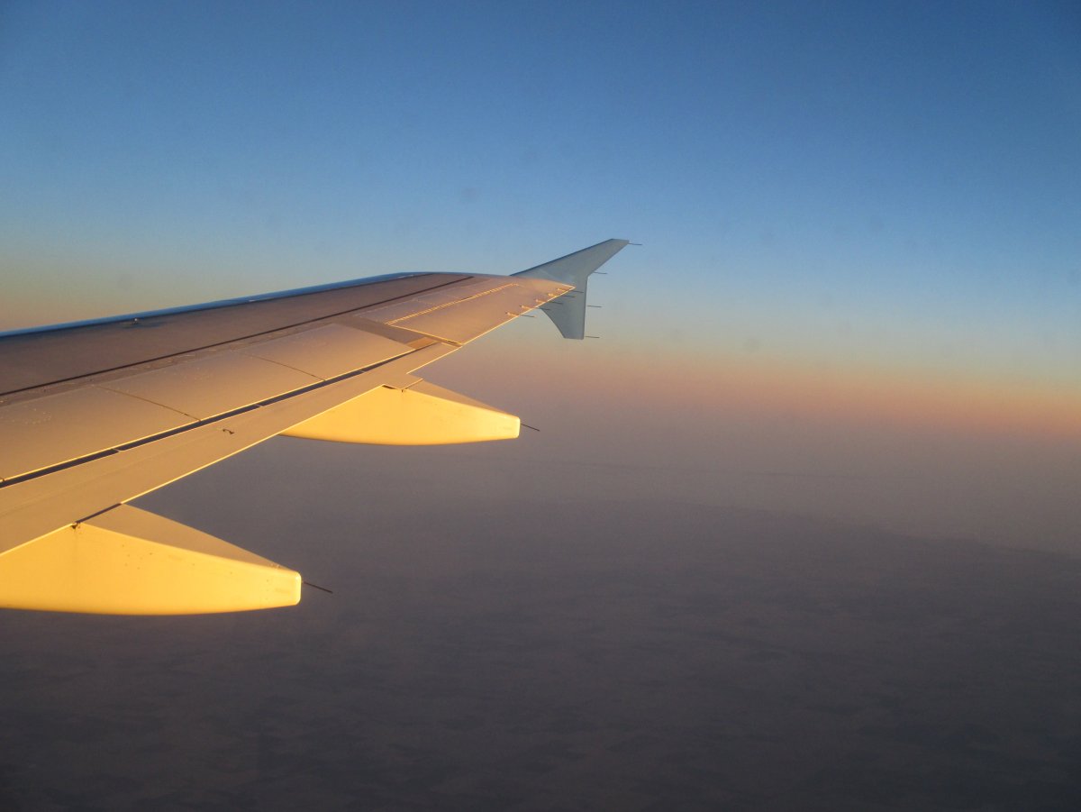 Белый самолет с голубым крылом что за компания