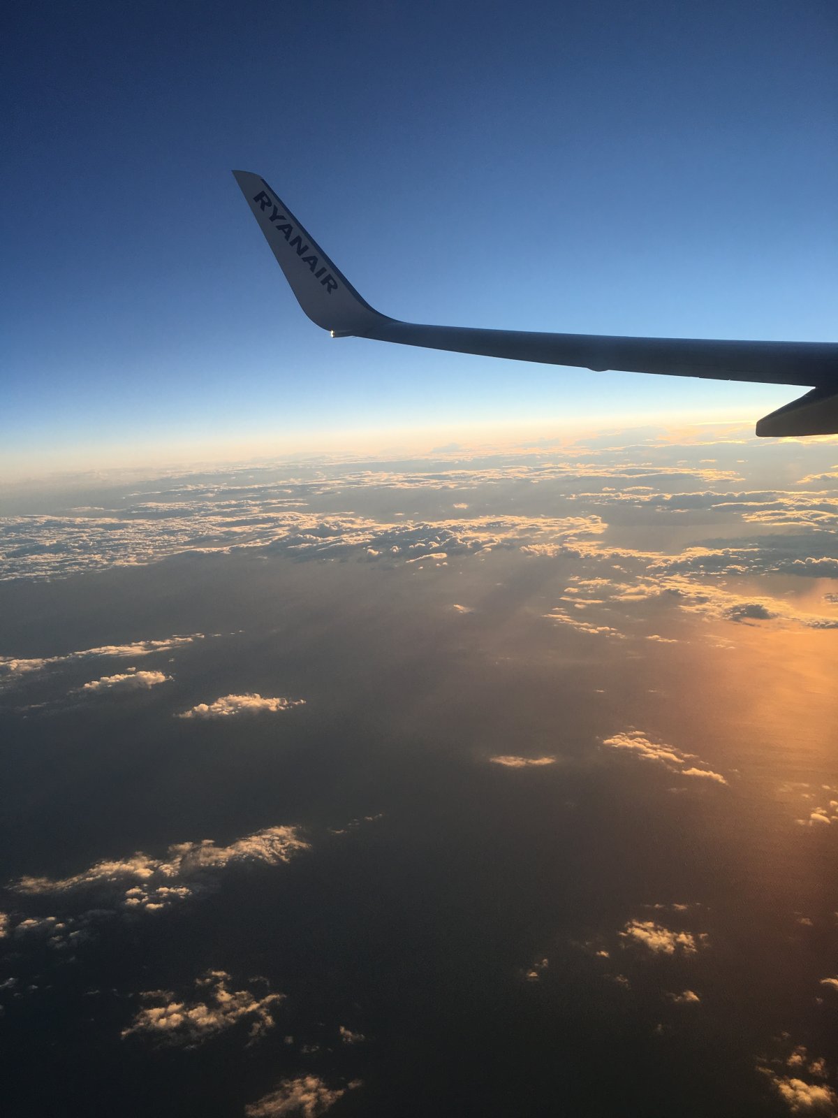 Виды крыльев