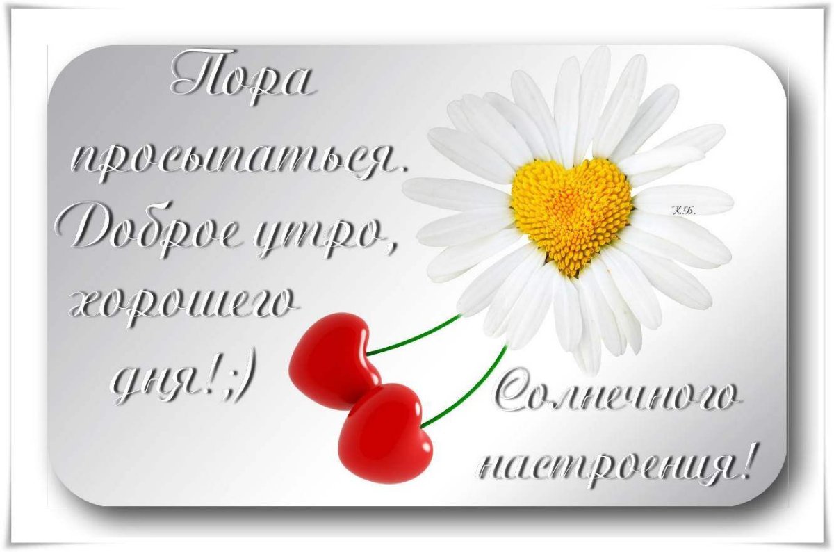 Хорошего дня любимому