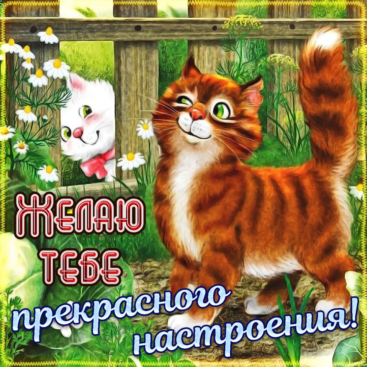 Открытки удачного дня