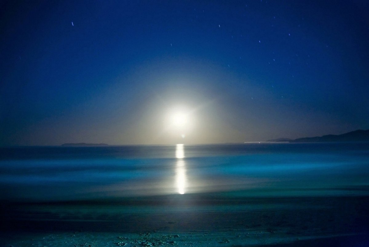 Спокойной ночи Лунная дорожка