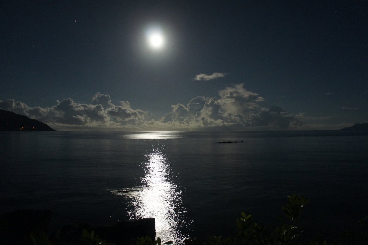 Лунная дорожка