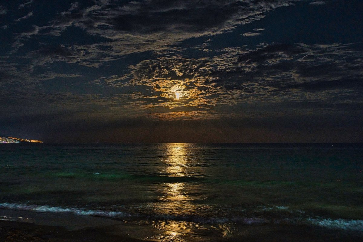 Лунная ночь