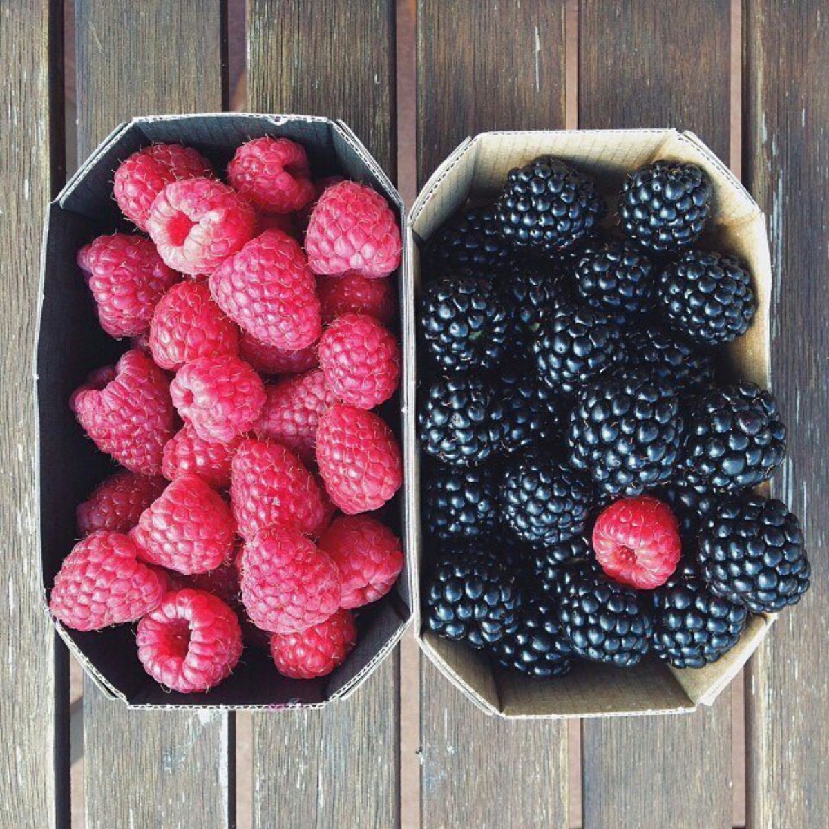 Ягоды для инстаграма