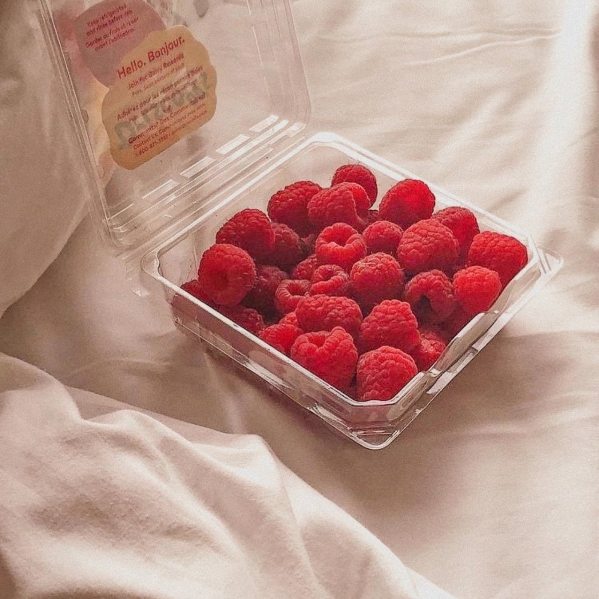 Миска с ягодами