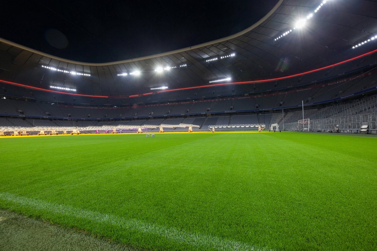 Газон Аллианц Арена