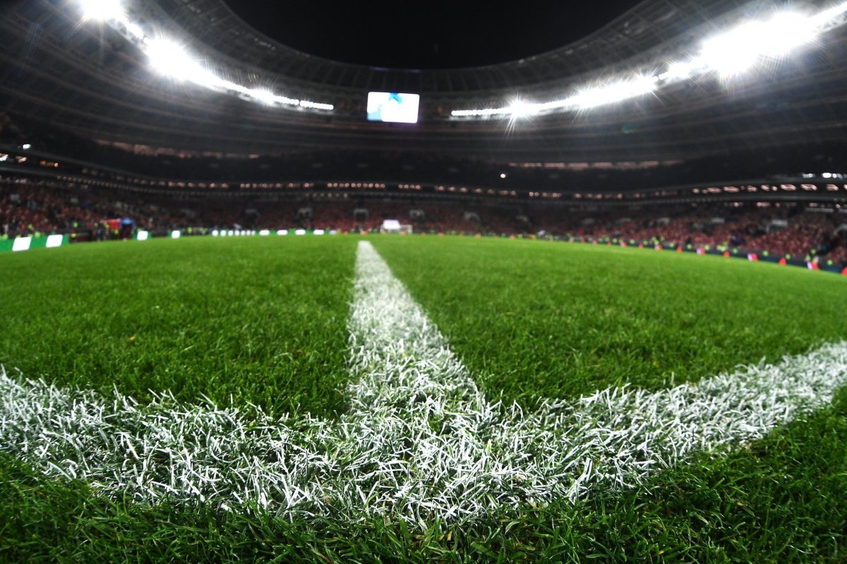 Стадион Альянц Арена газон