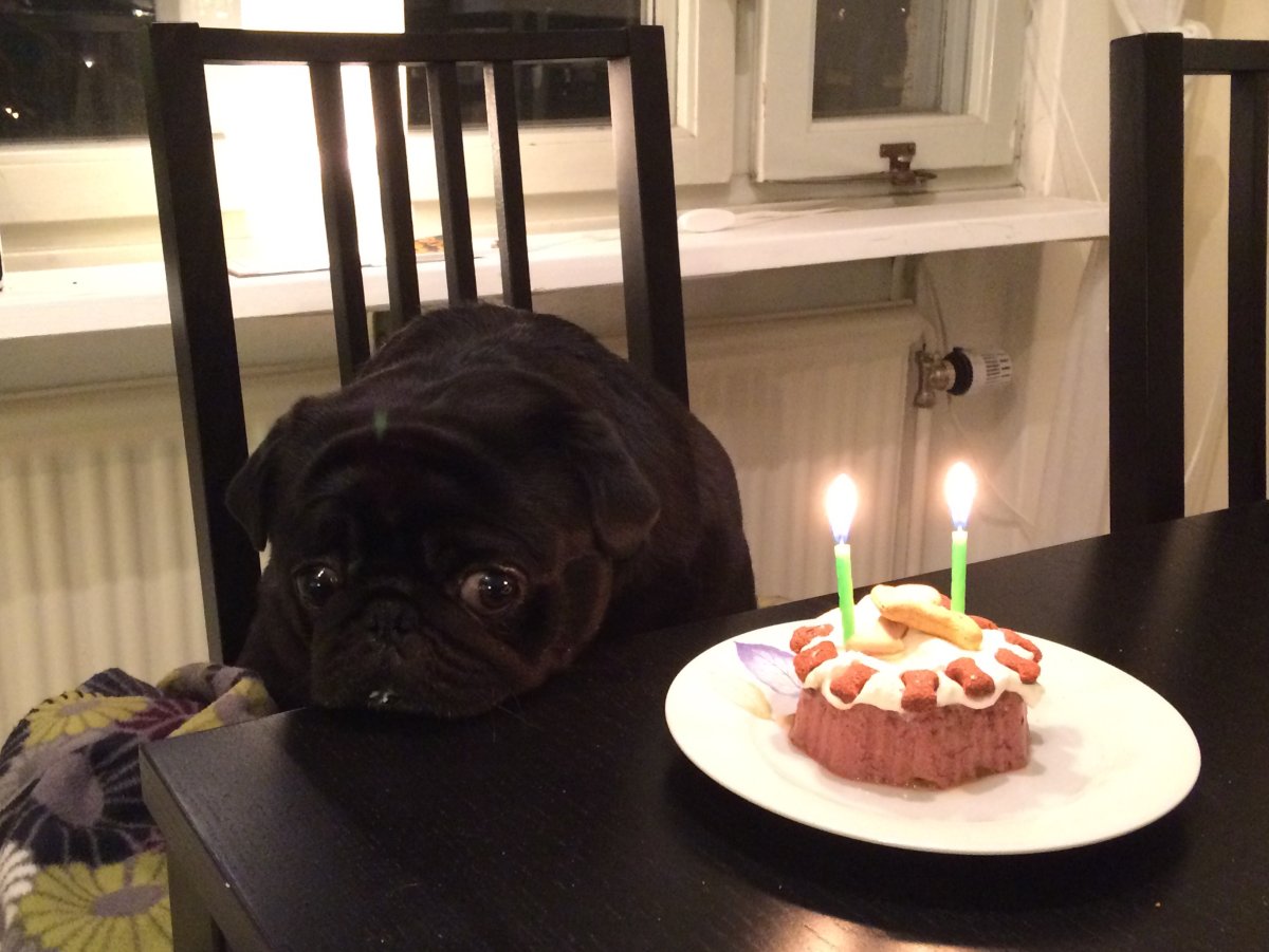 Грустный день рождения