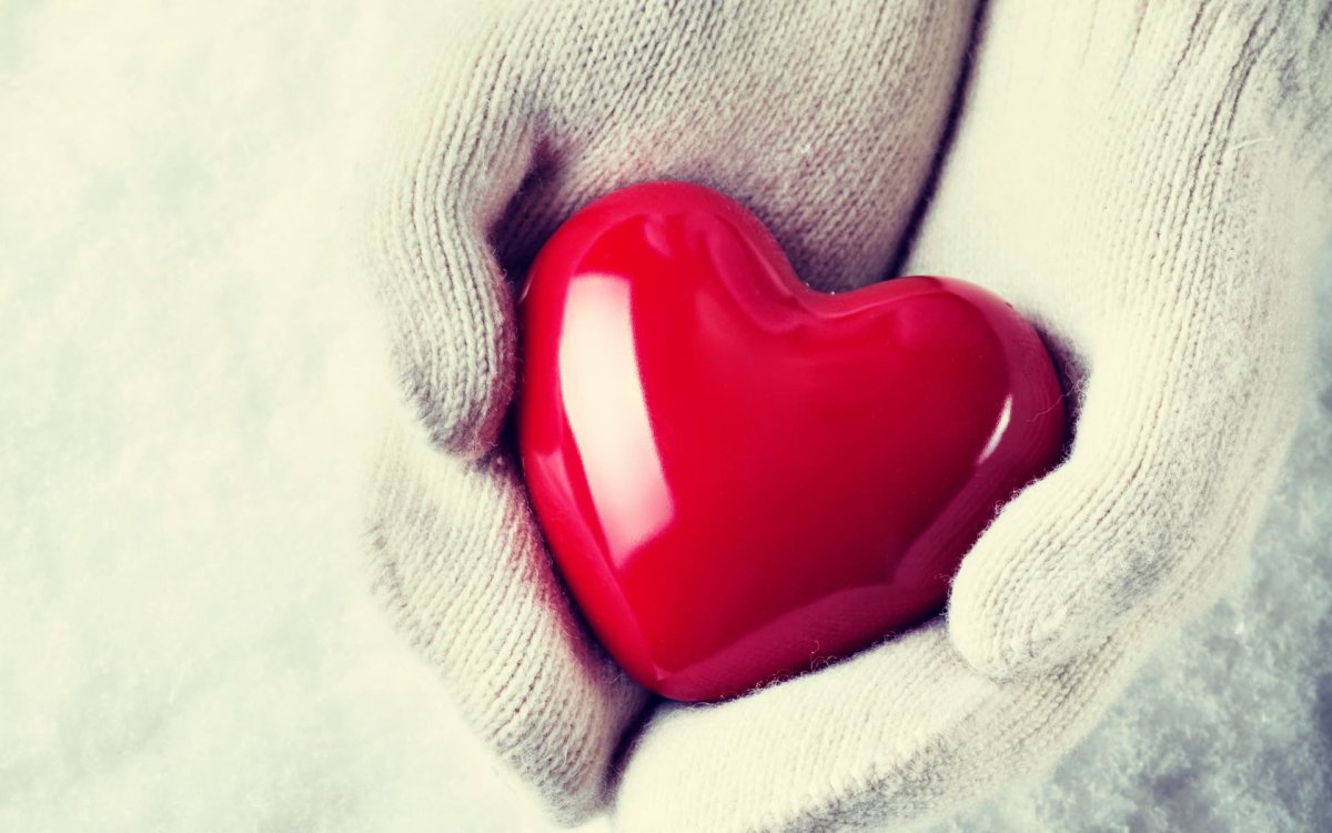 Сердце в руках