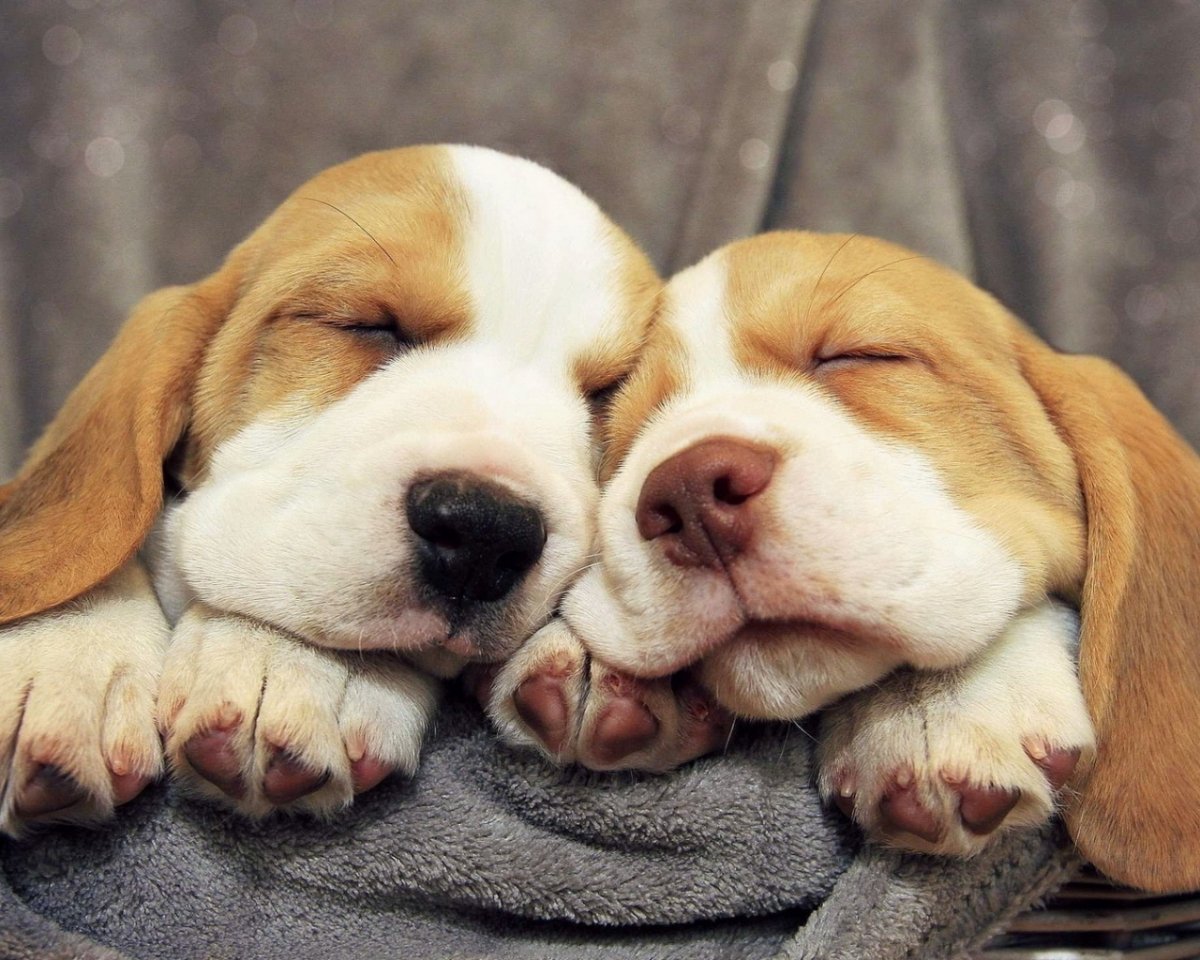 Спокойной ночи