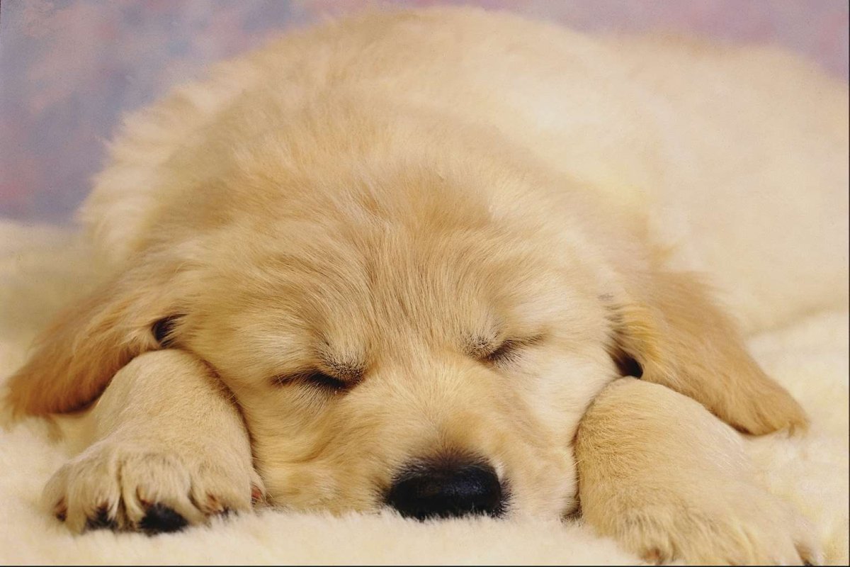 Открытки спокойной ночи