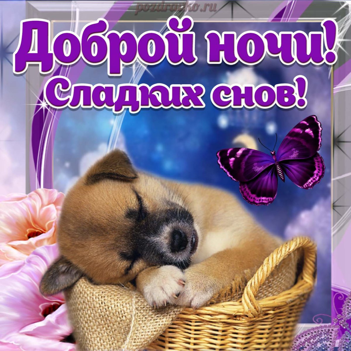 Спокойной ночи Йорк