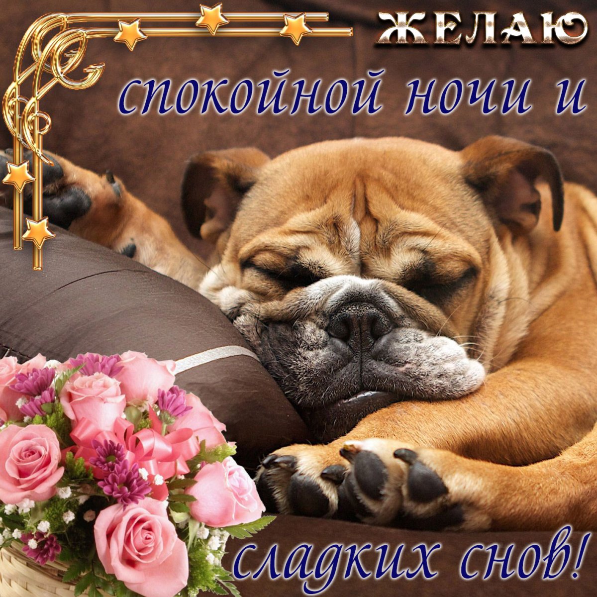 Спокойной ночи сладких снов