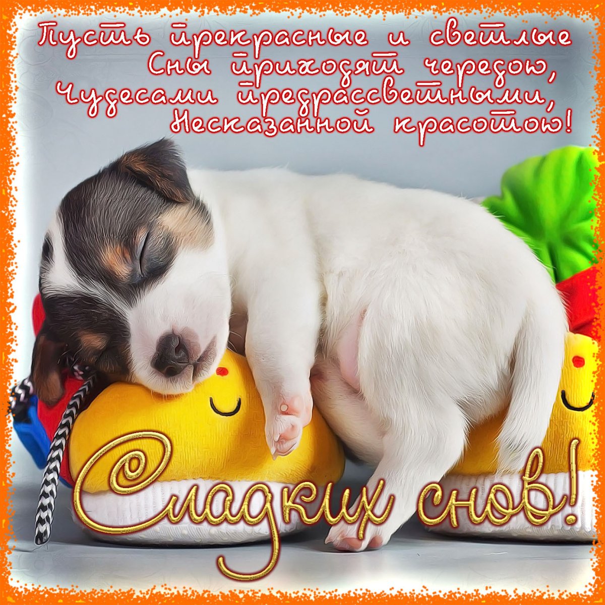 Животные в кровати