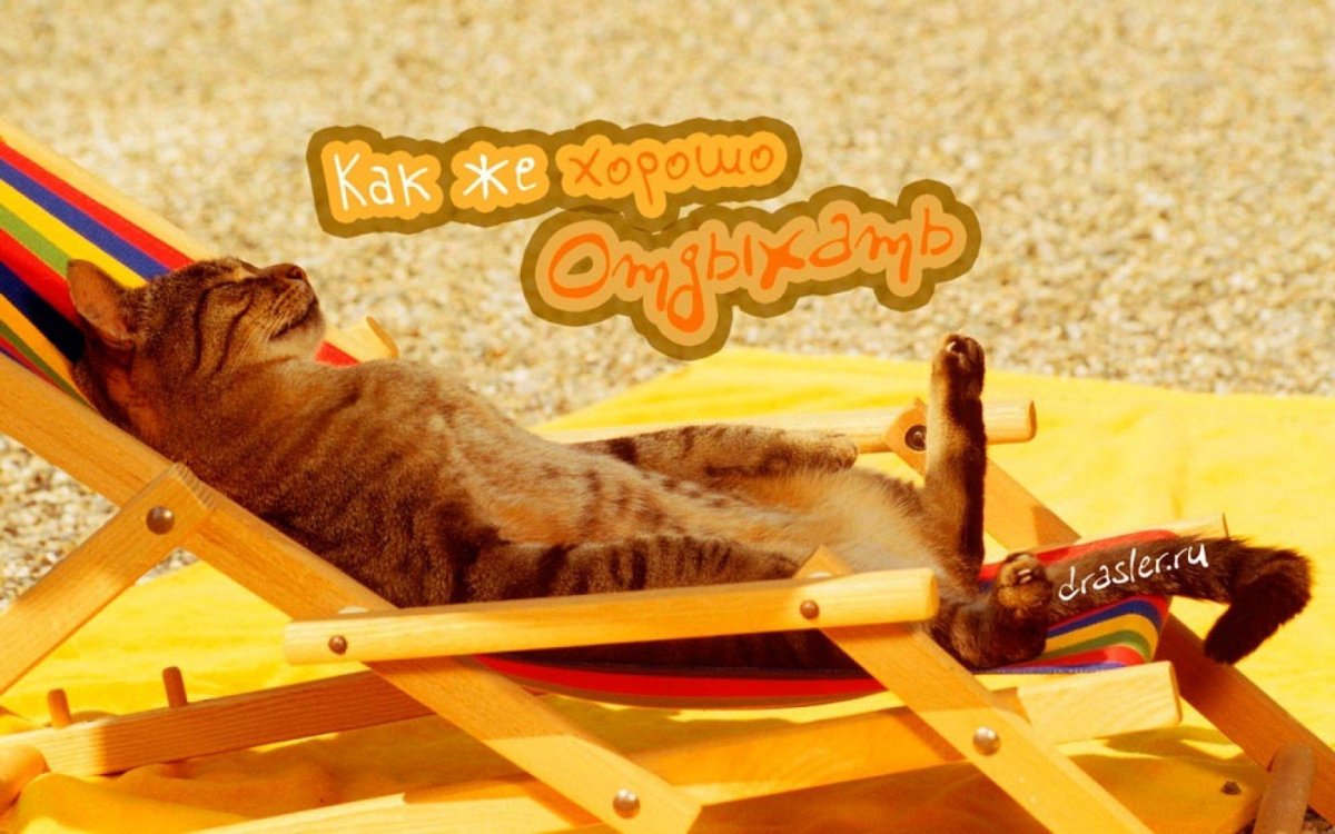 Отпуск картинки прикольные