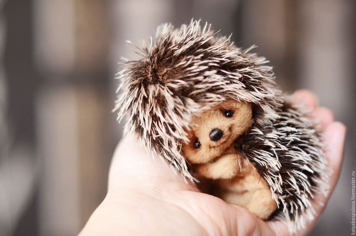 С добрым утром Ежик