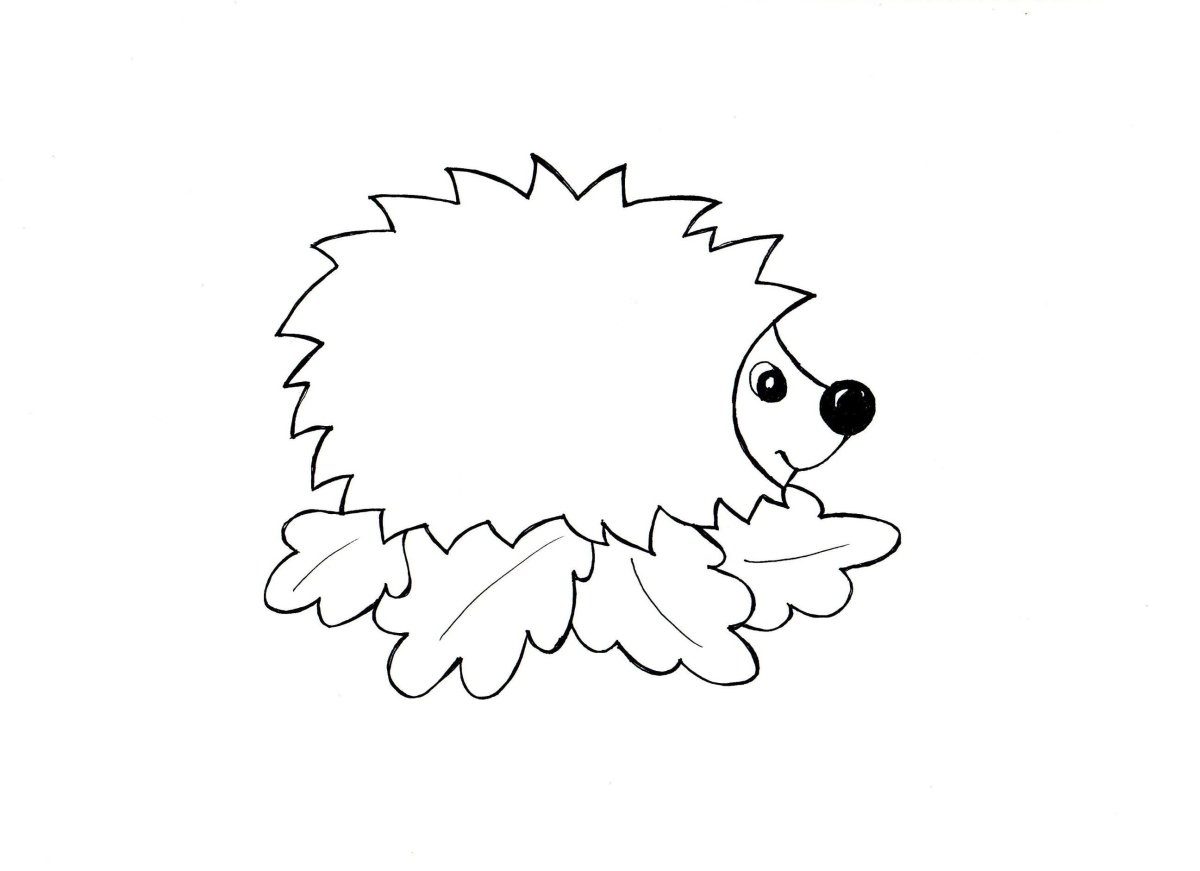 Ежик трафарет для аппликации