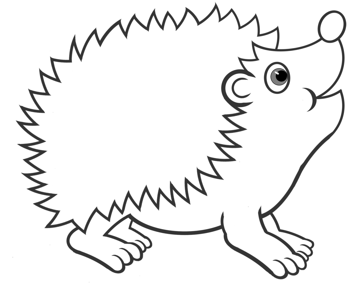 Раскраска Ёжик