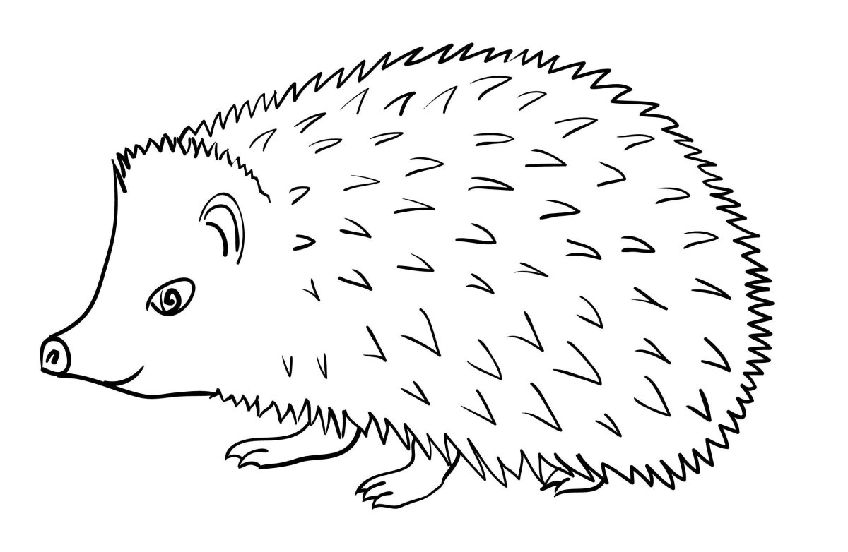 Раскраски ежики милые