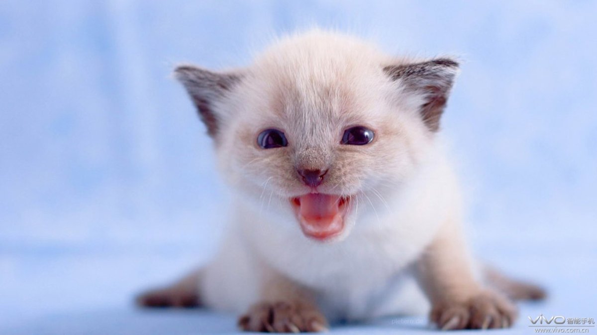 Ура завтра пятница